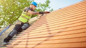 Best Skylight Installation and Repair  in Newark, IL